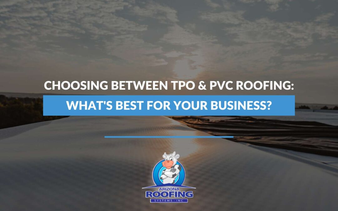 Choosing Between TPO & PVC Roofing: What’s Best For Your Business?