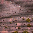 Old roof showing signs of wear and tear