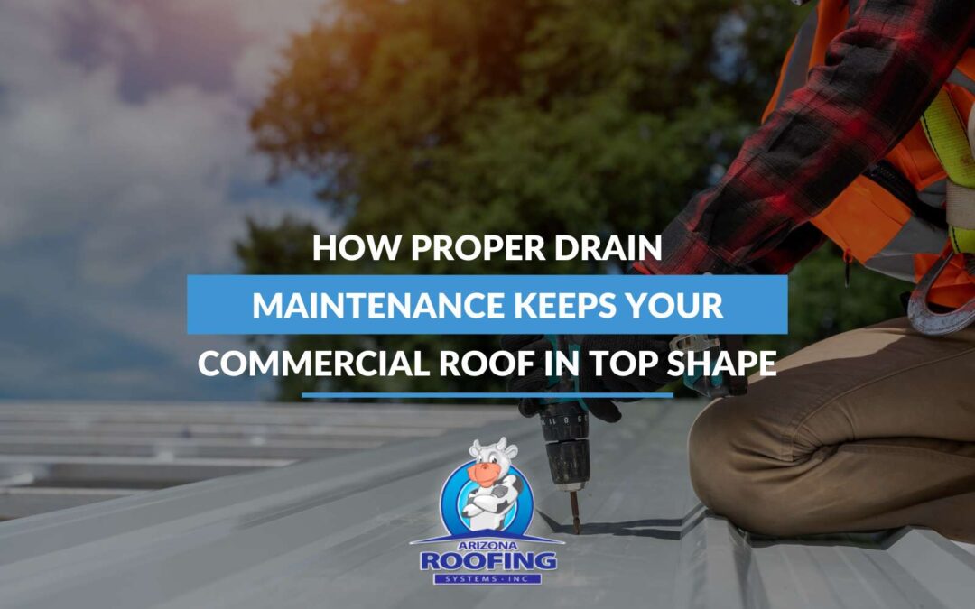 How Proper Drain Maintenance Keeps Your Commercial Roof In Top Shape