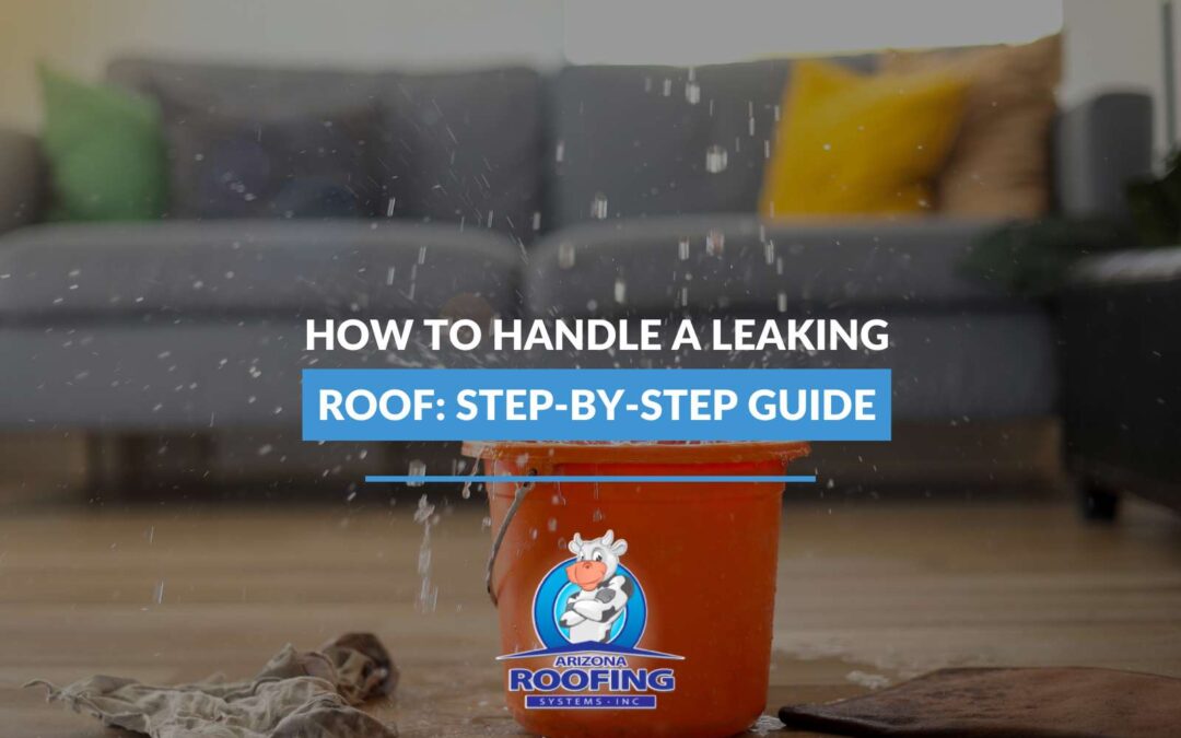 How To Handle a Leaking Roof: Step-by-Step Guide